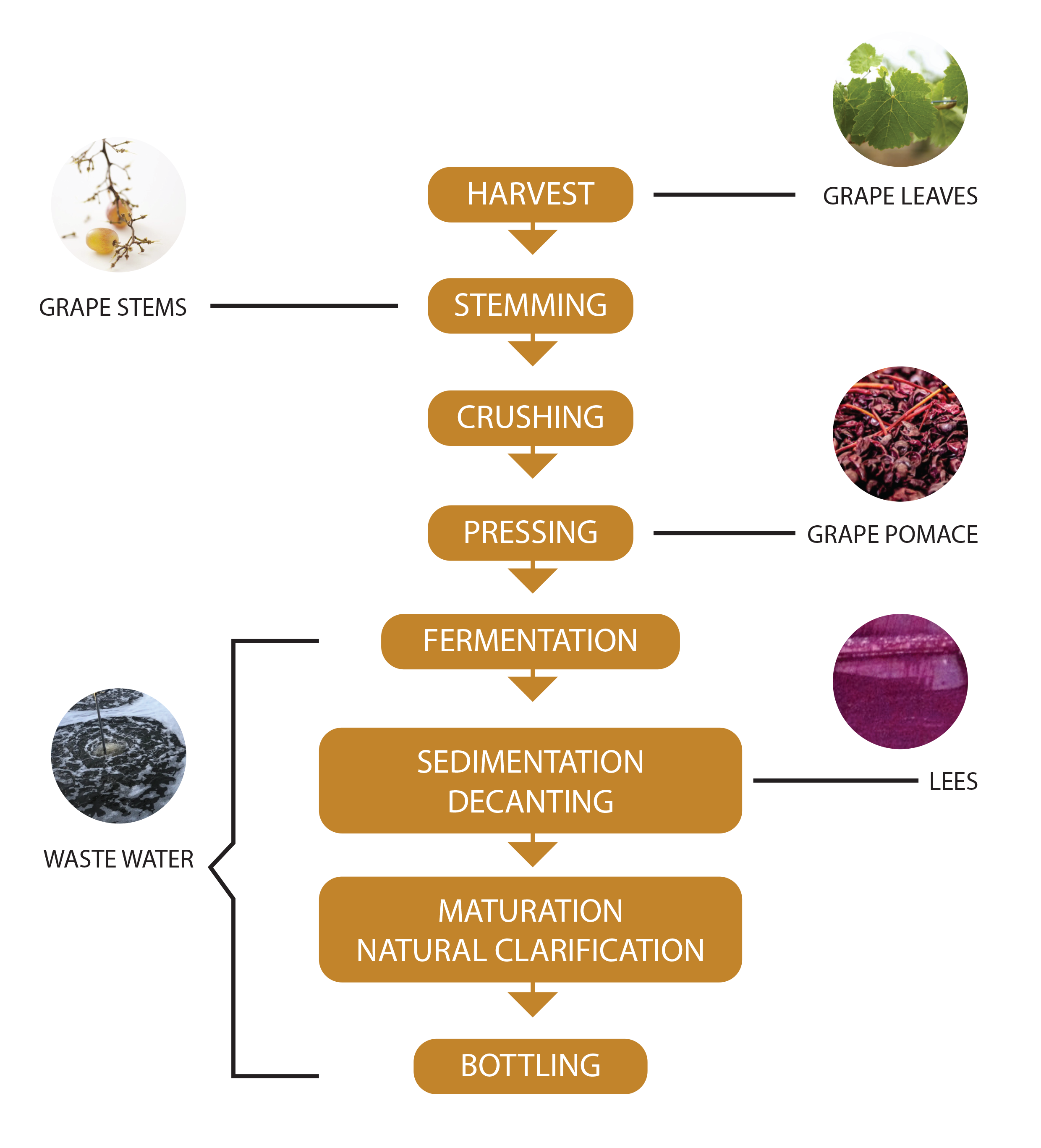 cold pressed oils - process