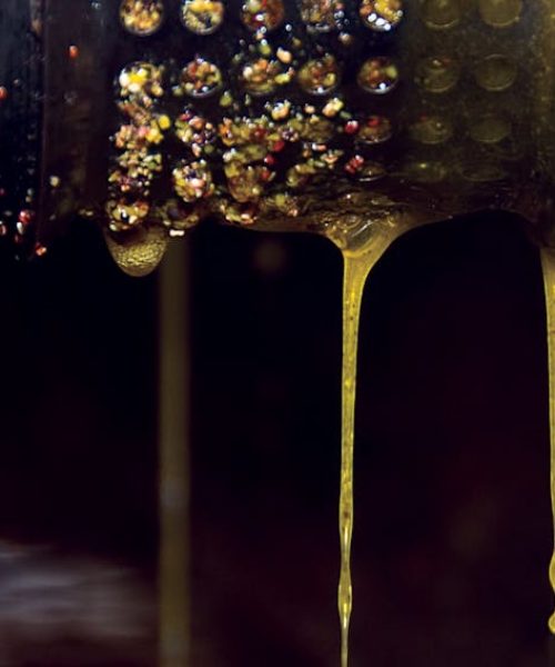 cold pressed oils process
