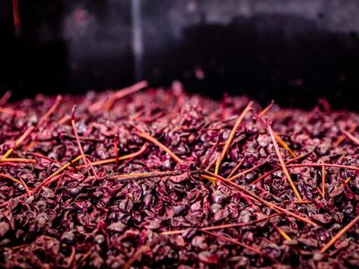 hosmer-winery-IMG_6526-1024x576