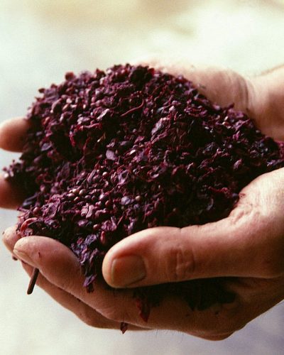 ns_pomace102821_1600